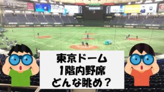 日本売 5/26日㈮18時〜日ハム戦プレステージエキサイト２列目通路側