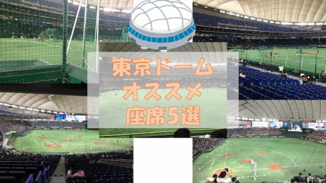 東京ドーム・巨人戦】初めてプロ野球観戦する人・座席選びに悩んでいる